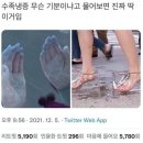 로시드