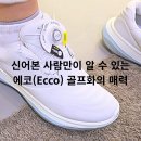 기성골프존 | 대구 더 현대백화점 골프존 마켓 with 에코 ecco 여성 명품 골프화
