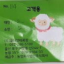 영소목장 | 울산 양떼목장, 위치, 입장료, 비용, 후기