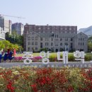 중앙대학교 이미지