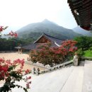 해남셀프나라 이미지