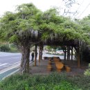 화양농공단지 이미지