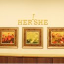 허쉬성형외과의원 이미지