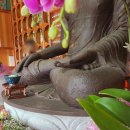 영천 선원동 철조여래좌상 이미지