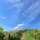 제105회 5월정산행 지리산 서북능선 바래봉 철쭉 이미지