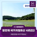 함안 대송리 늪지식물 | 함안의 국가지정유산 시리즈2