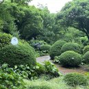 운동장가든 이미지