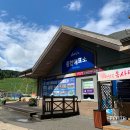 평창 알펜시아리조트 알파인코스터, 루지, 타볼카 후기