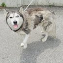 강릉초등학교 이미지