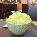 설빙(역곡점) | 요거치즈메론몽땅설빙 메론빙수 후기