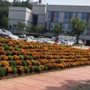 동백2동 행정복지센터 이미지