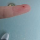 나산센터-4 | 26 重庆 Chongqing <1> - 교수님죄송해요 전공실습하러 인생 첫 중국 여행기