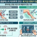 미밸런스의원 | 232.LEGISH 쫑알주사로 완성하는 도달가능미: 종아리근육퇴축술 고민과 가격의 상관관계 분석