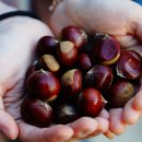 협성농산 이미지