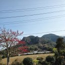 골물동교차로 3 | 제주도 일상 143
