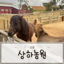 기타교실(야간) | 고창 상하농원 무료입장 조건과 할인 꿀팁 한눈에 보기