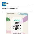디컬쳐