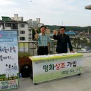 평화상조