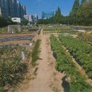 남구-004 이미지