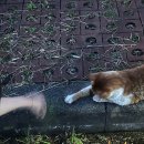 신시로16길1-23 이미지