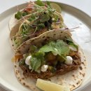 솔맥 | 솔멕시 SOL MEXI_양많은 타코 퀘사디아 한성대맛집 후기