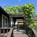 문장대힐링하우스민박 | 쌍용계곡 근처 상주펜션 추천 - 문장대힐링하우스펜션 이용 후기