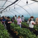 경희농장 이미지