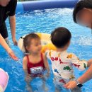 하숑하숑 이미지