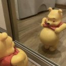 수지프라임 약국 이미지