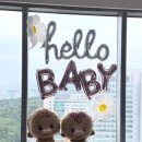 호산내과의원 | [임신25~31주] 제왕절개 택일 수술날짜 확정, 임산부 백일해주사 접종, 호캉스 베이비샤워