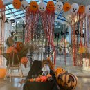 영천(대구) 이미지