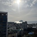 제주올레호텔 | [제주 올레시장 숙소] 런호텔 내돈내산 솔직후기