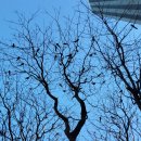 까치화장실 이미지