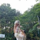 사랑스럽댕 이미지