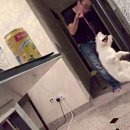 강아지보호구역 이미지