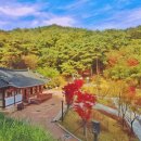 백운공원 티스토리
