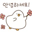 담실한우 이미지