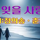 못 잊을 사랑//정의송ㆍ춘길 이미지