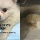 곧바로병원 이미지