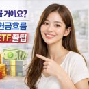 현금전자산업 | 삼성전자만 볼 거예요? 분할매수+현금흐름 ETF 꿀팁