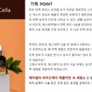 비이오케이