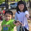 솔방울캠핑장 이미지