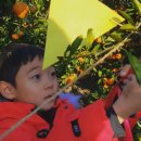 국민수농장 이미지