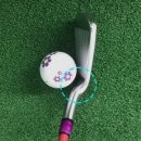 스윗스팟골프아카데미 네이버블로그
