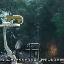 건다시설보수