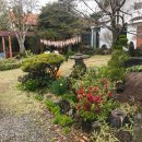 삼일산장 이미지