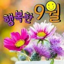 9월1일 제주사랑방 아침인사 이미지