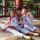 호동태권도 이미지