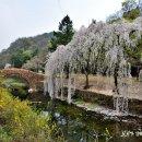 창녕군창녕읍옥천보건진료소 | [창녕여행] 창녕여행코스, 천혜의 자연과 함께하는 아름다운 고장