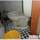 대림약국 이미지